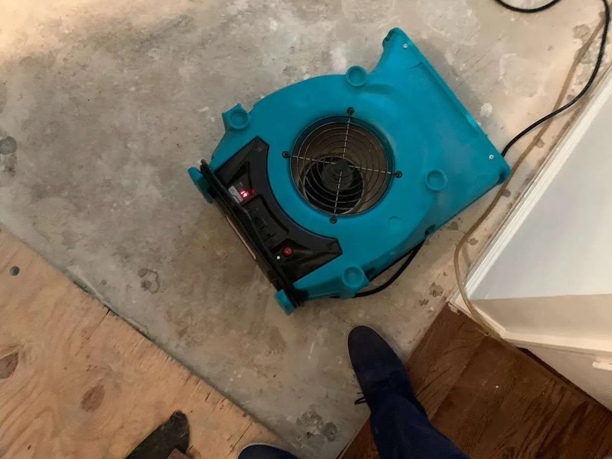 Air mover drying subfloor during Leak Detection & Repair in Spring Lake Park